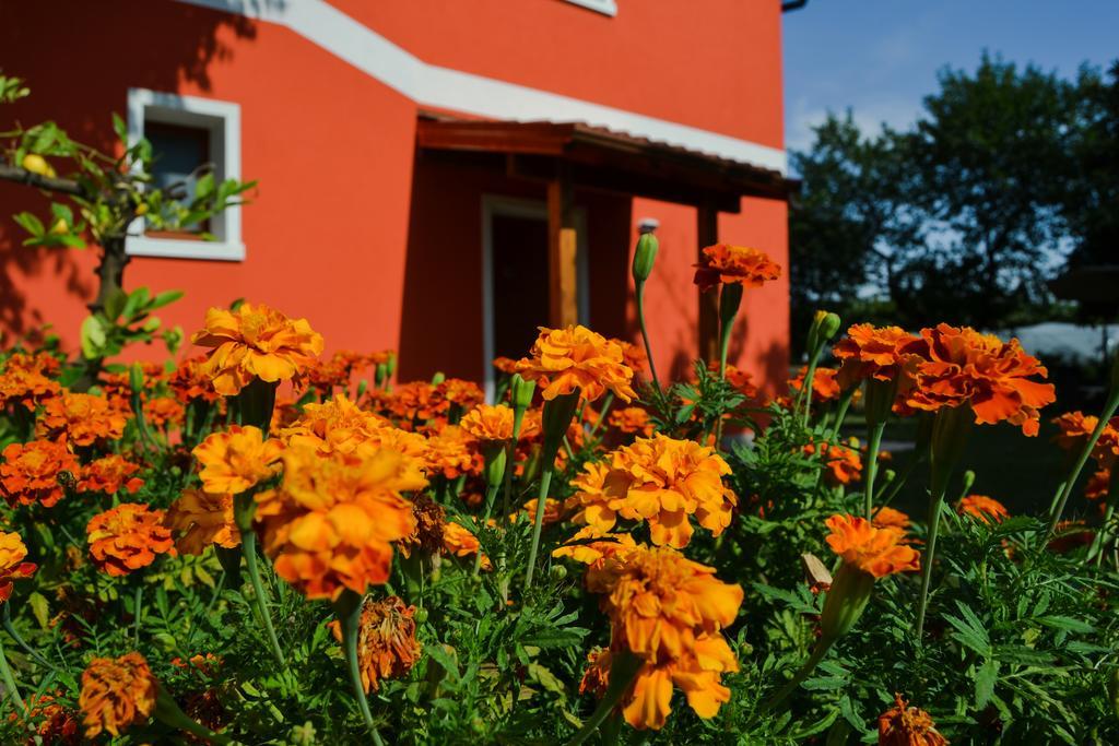 Agriturismo Ca' La Pergola Луганьяно Екстер'єр фото