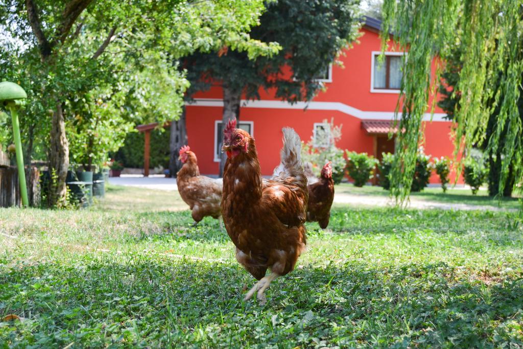 Agriturismo Ca' La Pergola Луганьяно Екстер'єр фото